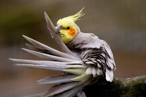 Tierpark Bild 1