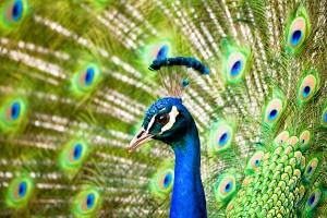 Tierpark Bild 3