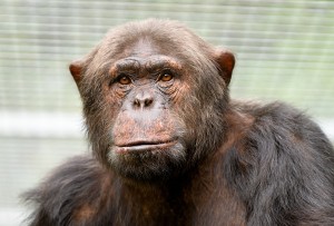 Tierpark Bild 4