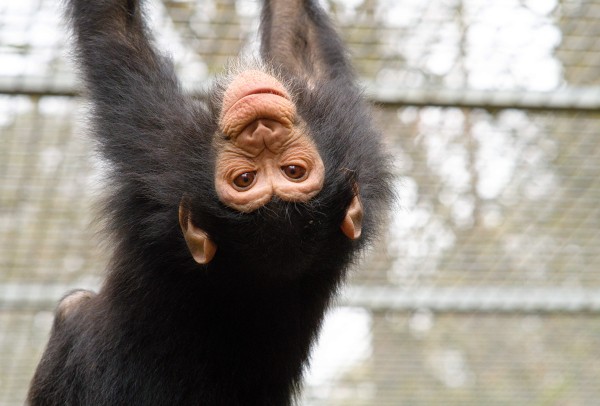 Tierpark Bild 5